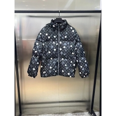 Louis Vuitton Down Jackets